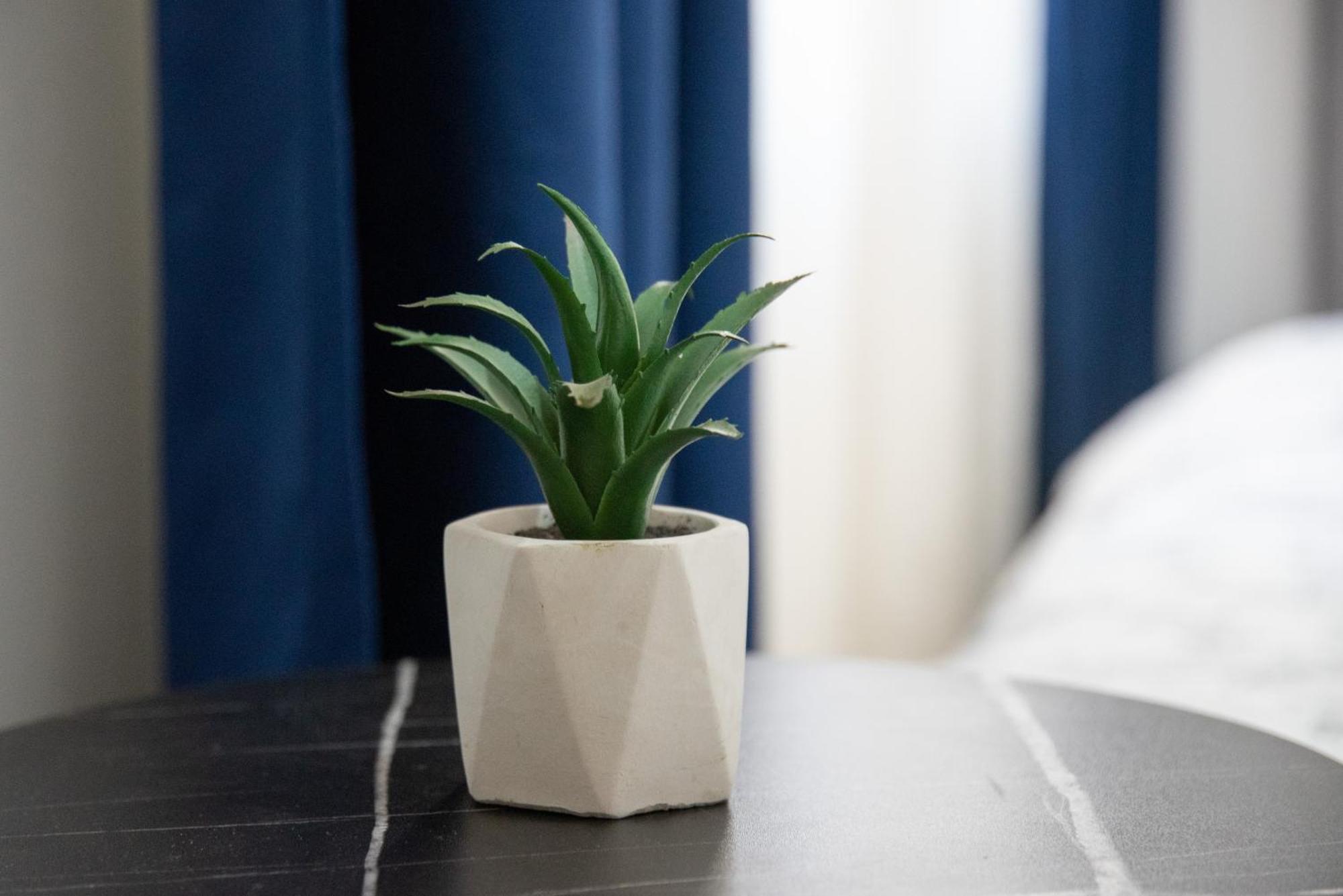 Nano Apartment Призрен Екстериор снимка